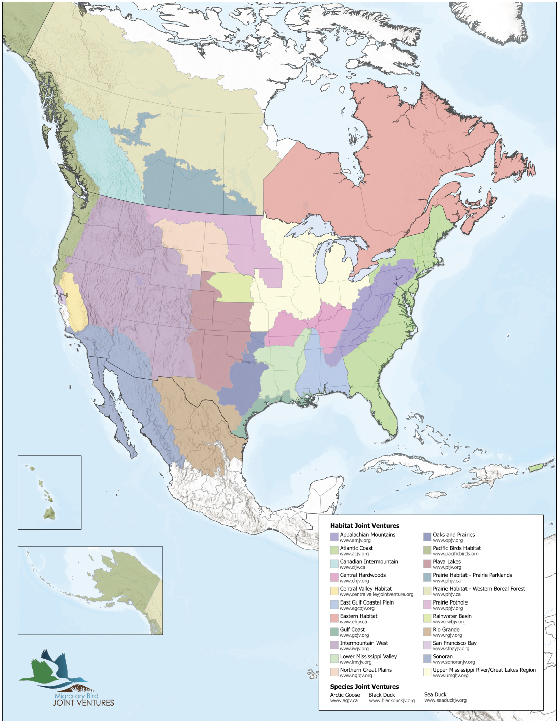 See all the Migratory Bird Joint Ventures here.
